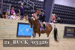 21_BUCK_03526 proof
