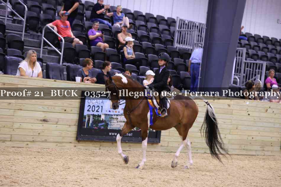 Proof 21_BUCK_03527