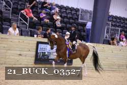21_BUCK_03527 proof