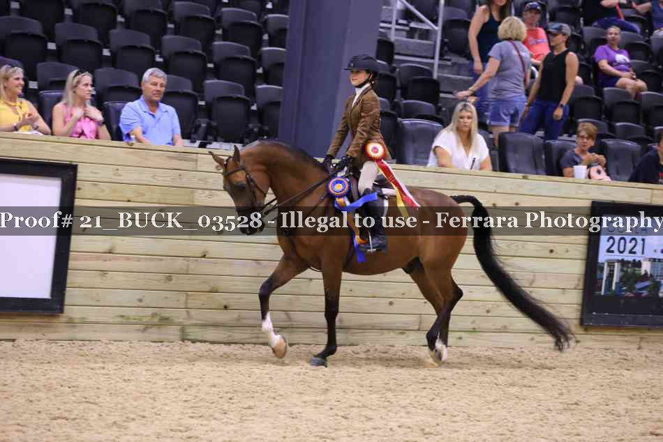 Proof 21_BUCK_03528