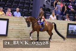 21_BUCK_03528 proof