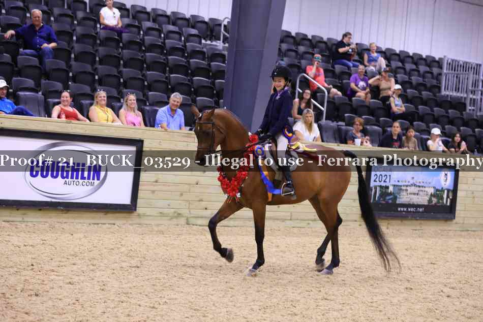 Proof 21_BUCK_03529