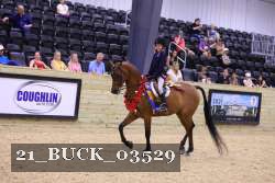 21_BUCK_03529 proof