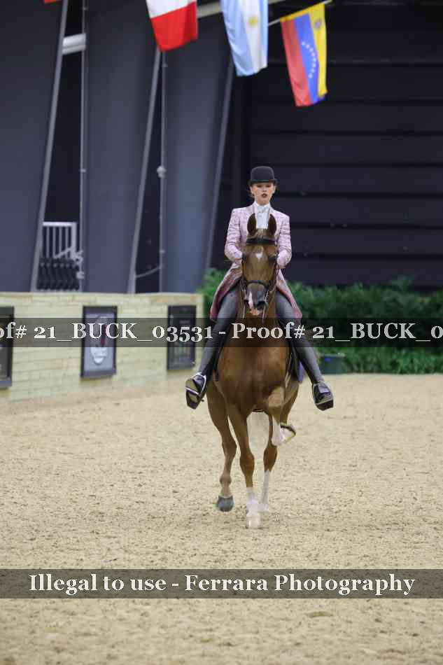 Proof 21_BUCK_03531