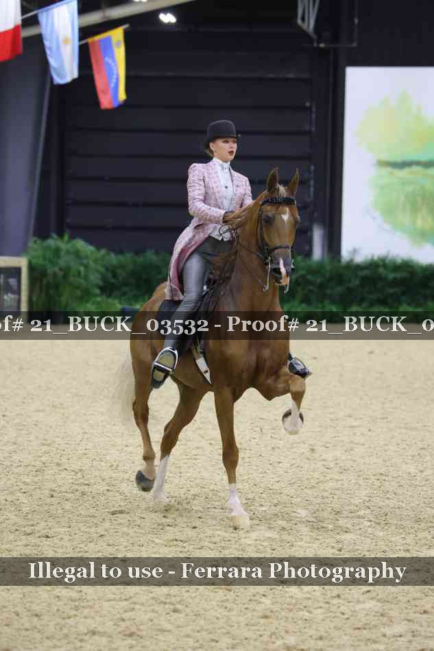 Proof 21_BUCK_03532