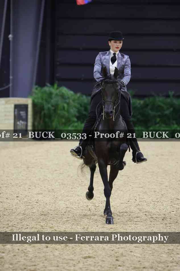 Proof 21_BUCK_03533