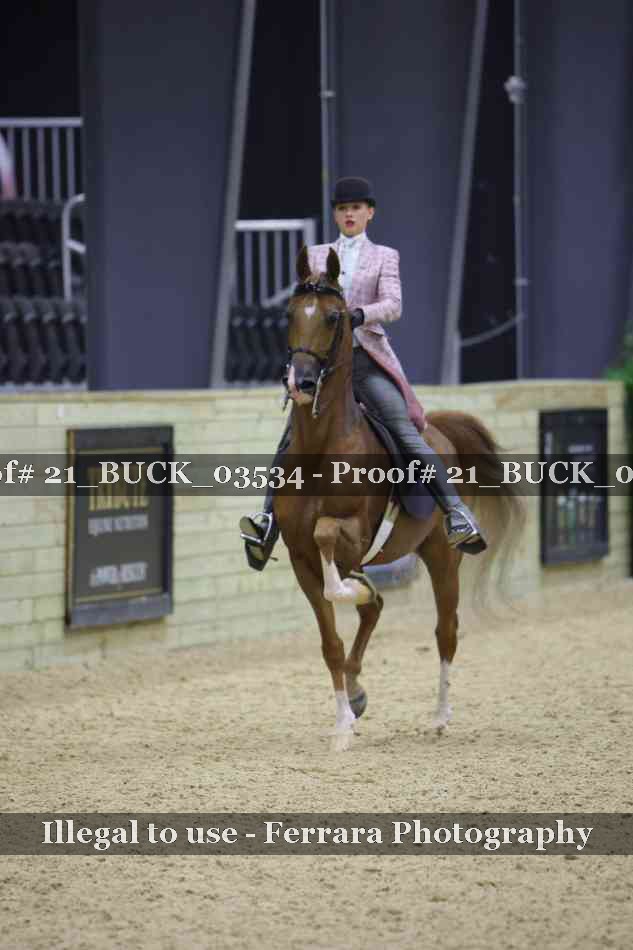 Proof 21_BUCK_03534