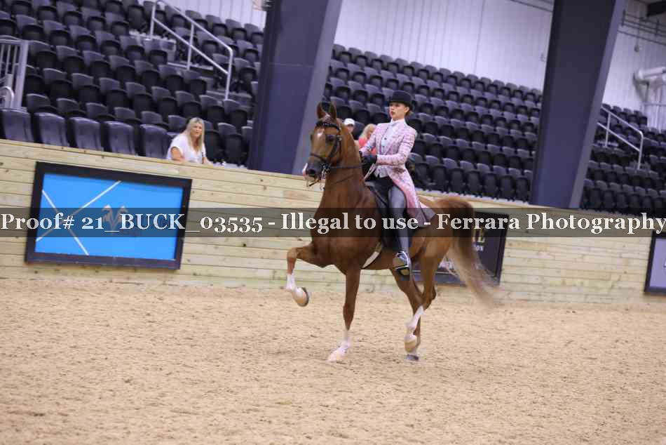 Proof 21_BUCK_03535