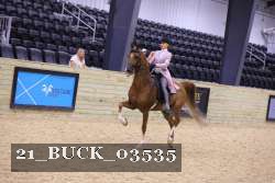 21_BUCK_03535 proof