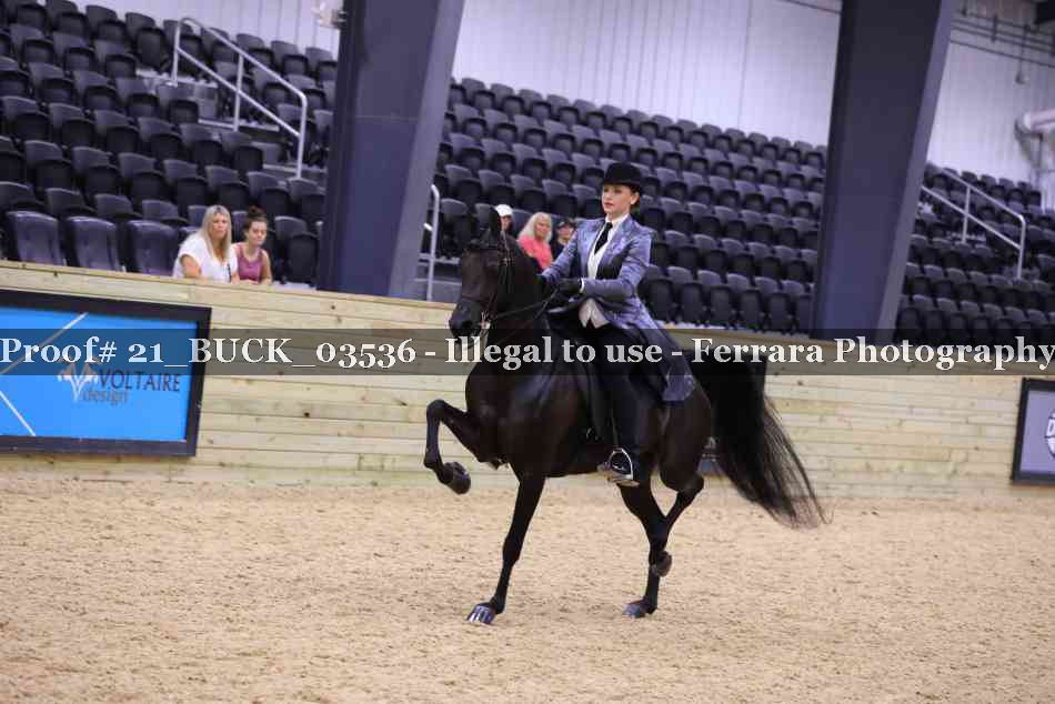 Proof 21_BUCK_03536