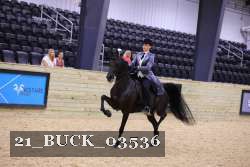 21_BUCK_03536 proof