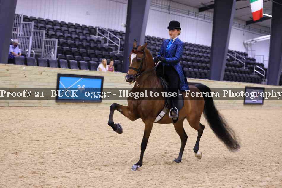Proof 21_BUCK_03537