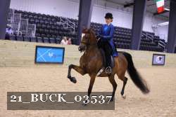 21_BUCK_03537 proof