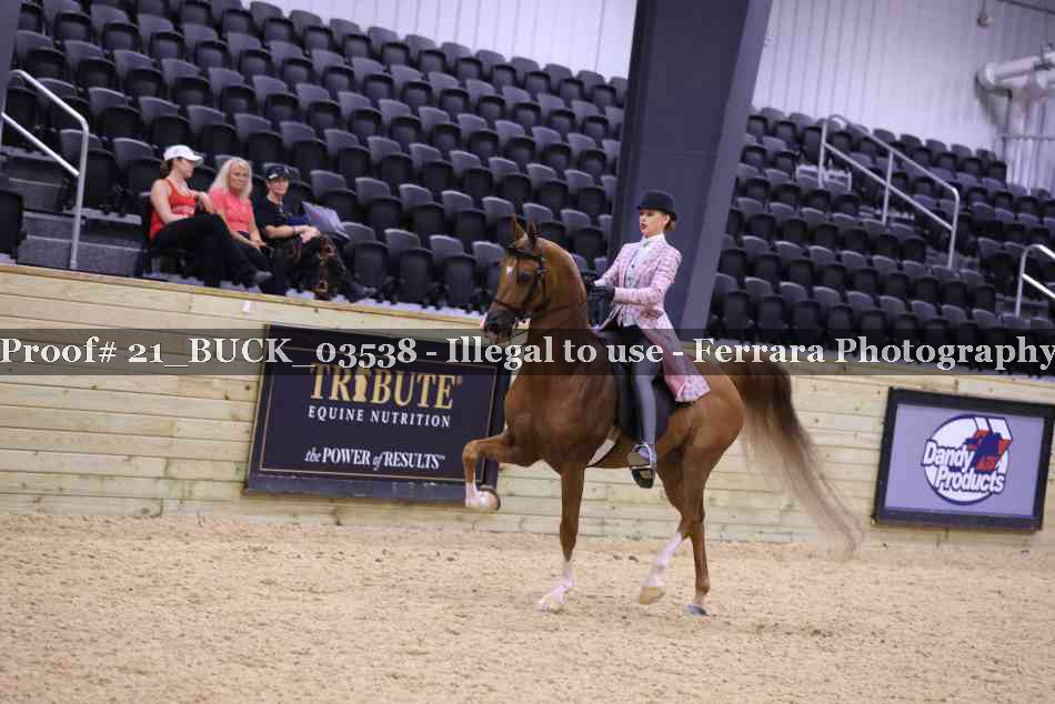 Proof 21_BUCK_03538