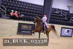 21_BUCK_03538 proof