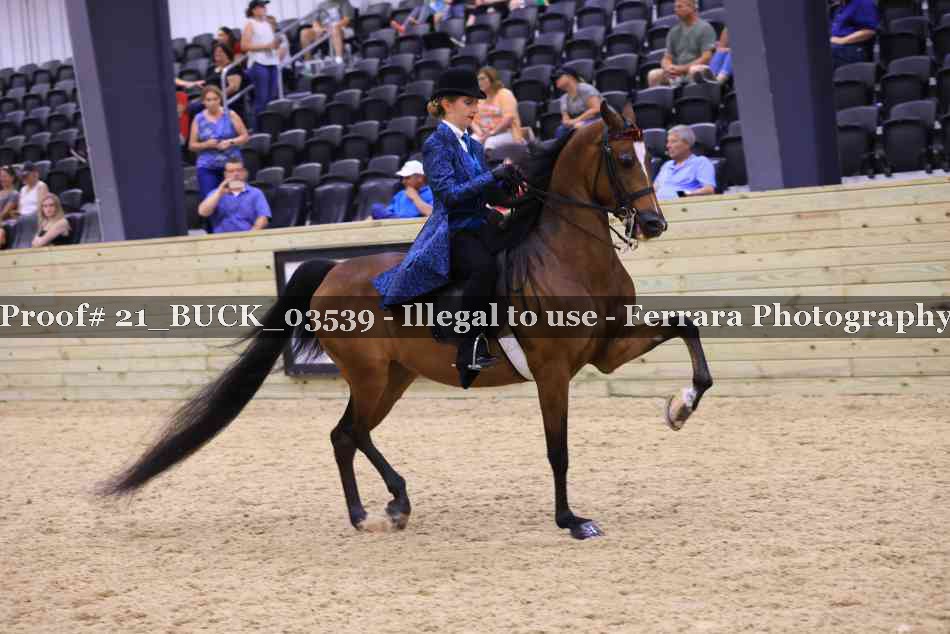 Proof 21_BUCK_03539