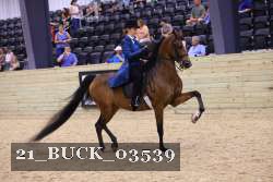21_BUCK_03539 proof