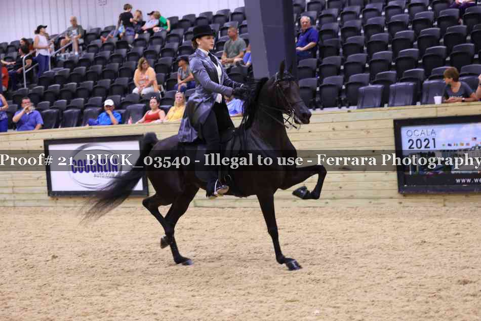 Proof 21_BUCK_03540