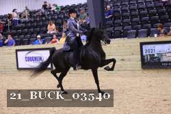 21_BUCK_03540 proof