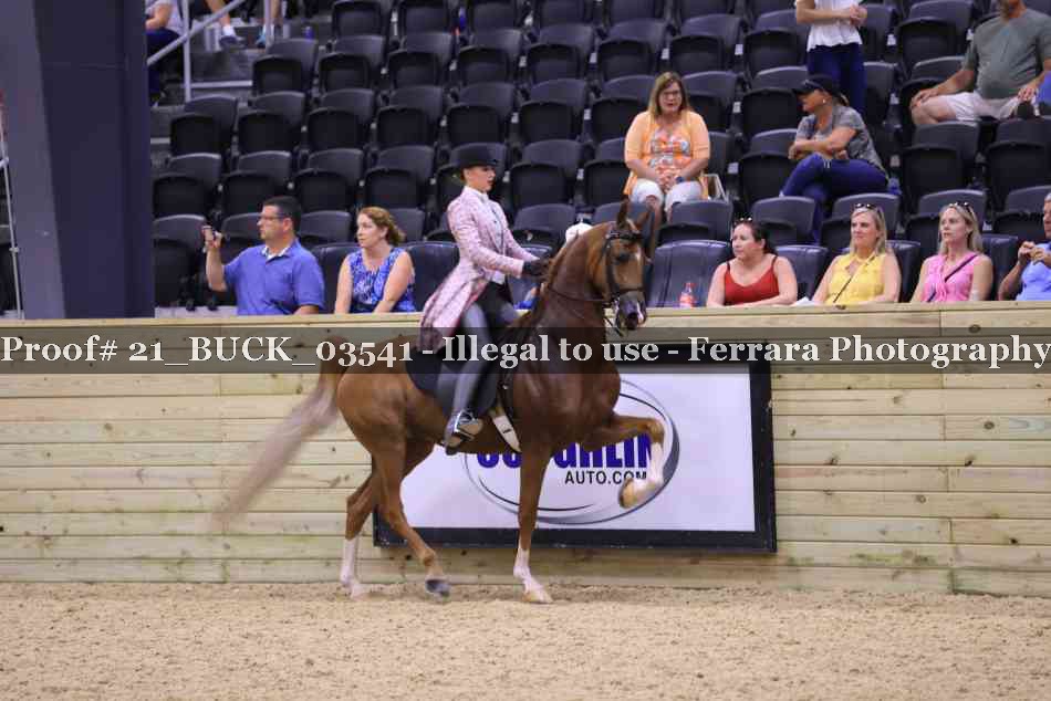 Proof 21_BUCK_03541