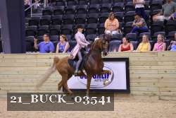 21_BUCK_03541 proof