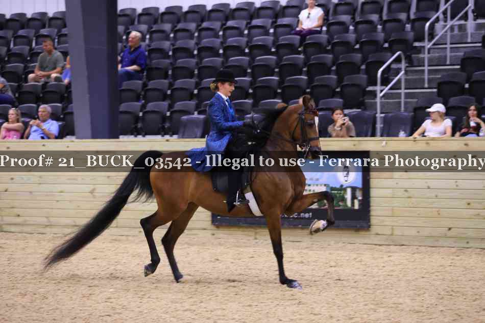 Proof 21_BUCK_03542