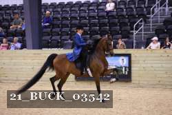 21_BUCK_03542 proof