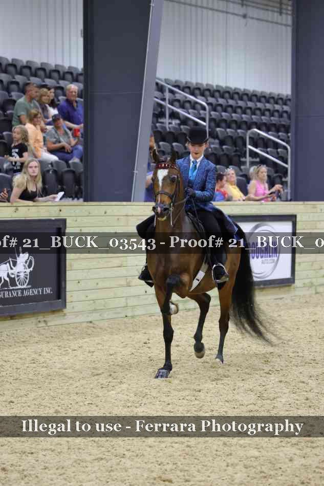 Proof 21_BUCK_03543