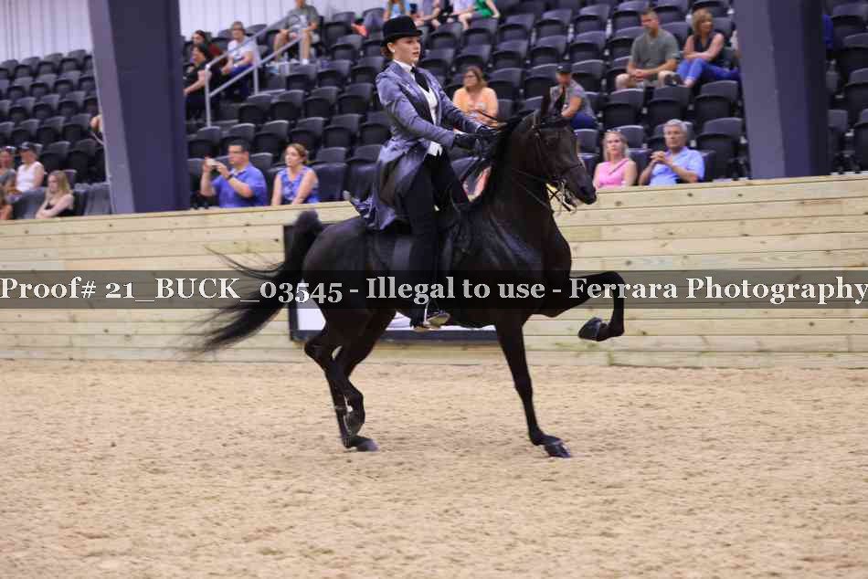 Proof 21_BUCK_03545