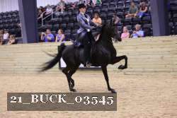 21_BUCK_03545 proof