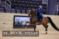 21_BUCK_03546 proof
