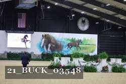 21_BUCK_03548 proof