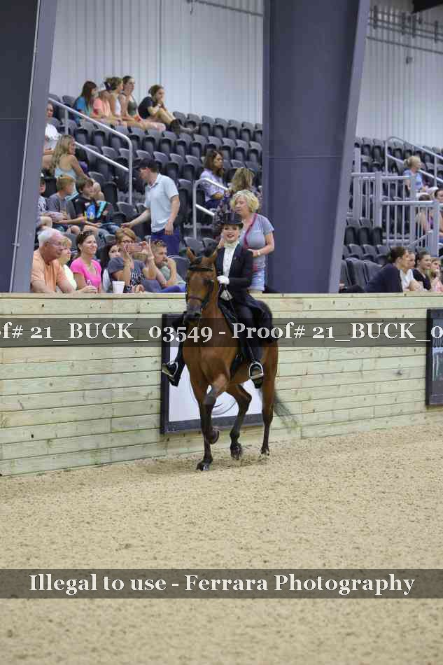 Proof 21_BUCK_03549