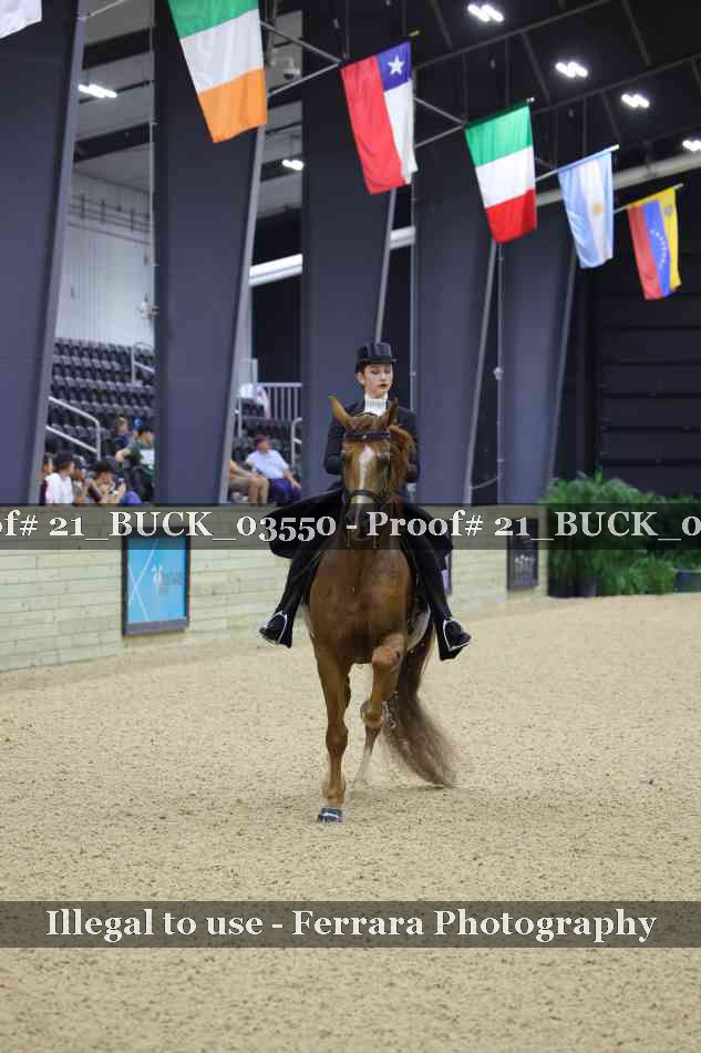 Proof 21_BUCK_03550