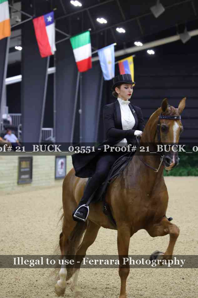 Proof 21_BUCK_03551