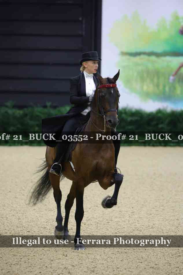 Proof 21_BUCK_03552
