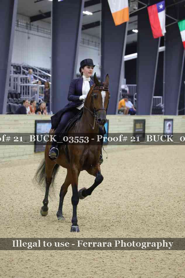 Proof 21_BUCK_03553