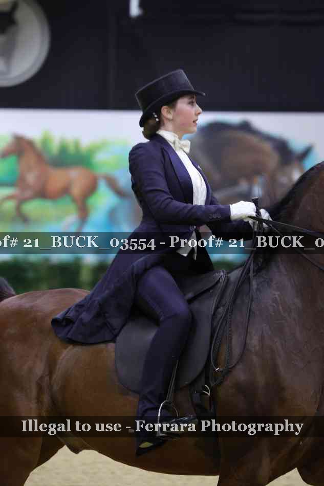 Proof 21_BUCK_03554