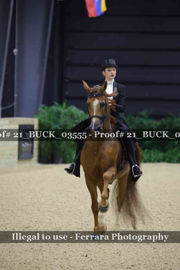 Proof 21_BUCK_03555