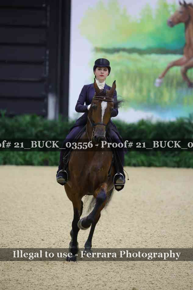 Proof 21_BUCK_03556