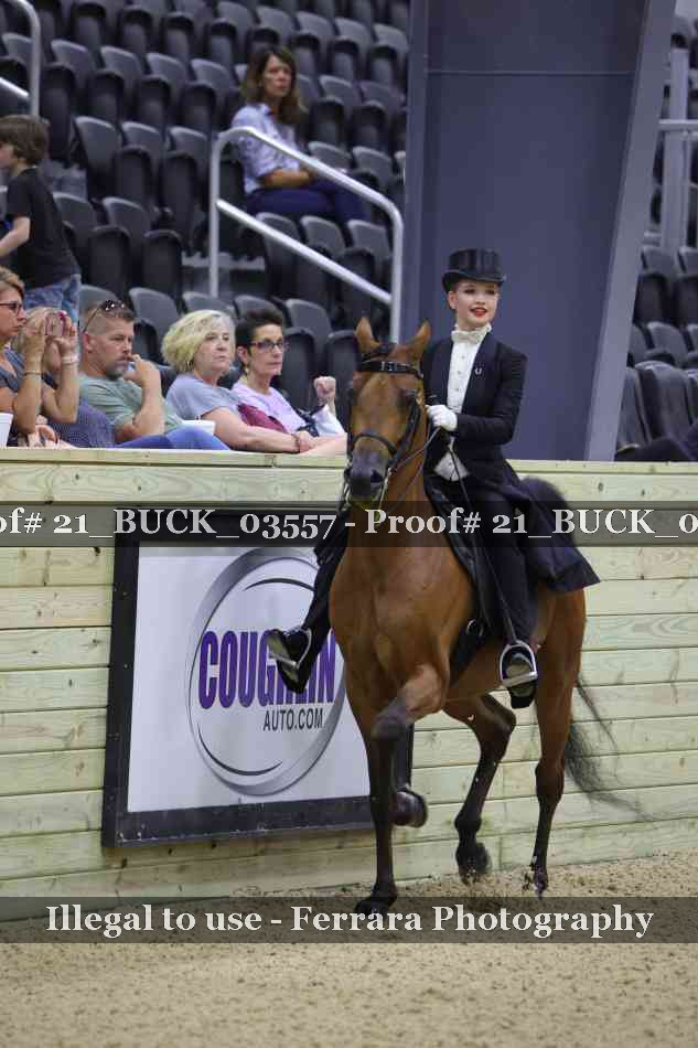 Proof 21_BUCK_03557