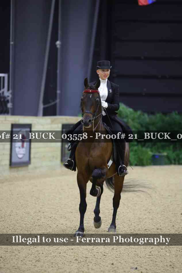 Proof 21_BUCK_03558