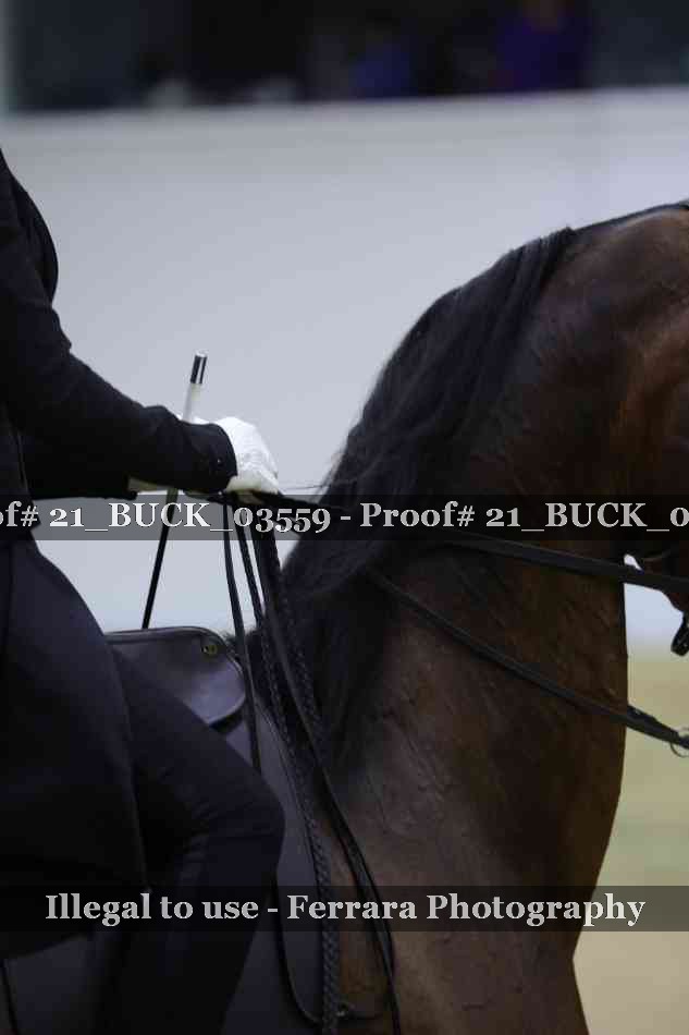 Proof 21_BUCK_03559