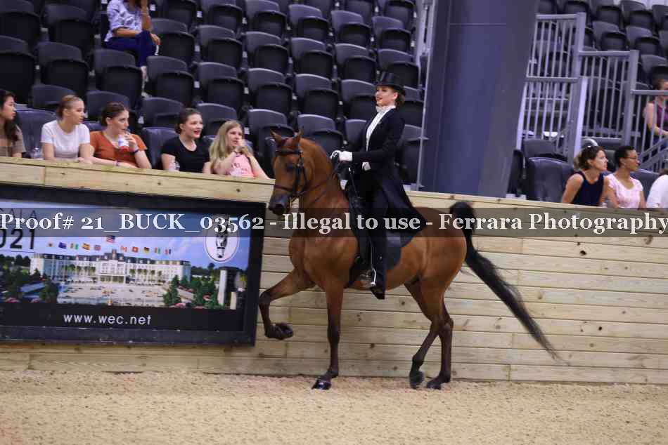 Proof 21_BUCK_03562