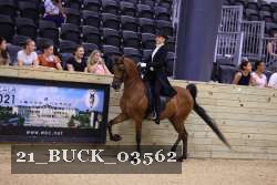 21_BUCK_03562 proof