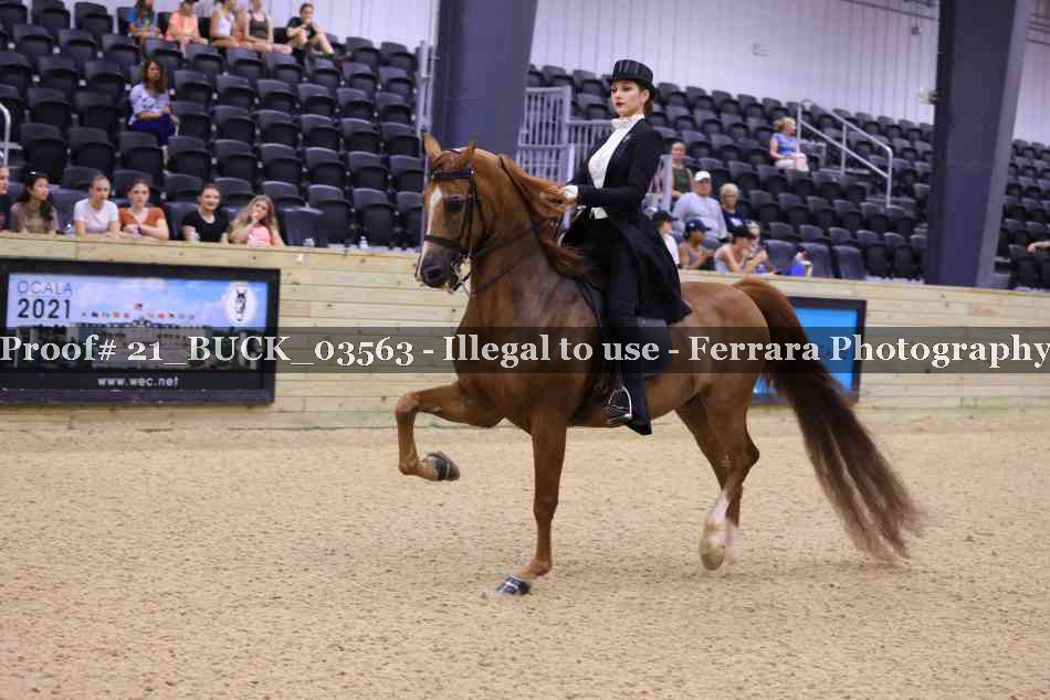 Proof 21_BUCK_03563