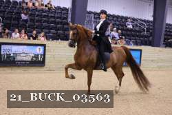 21_BUCK_03563 proof