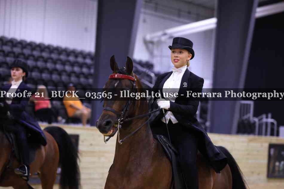 Proof 21_BUCK_03565