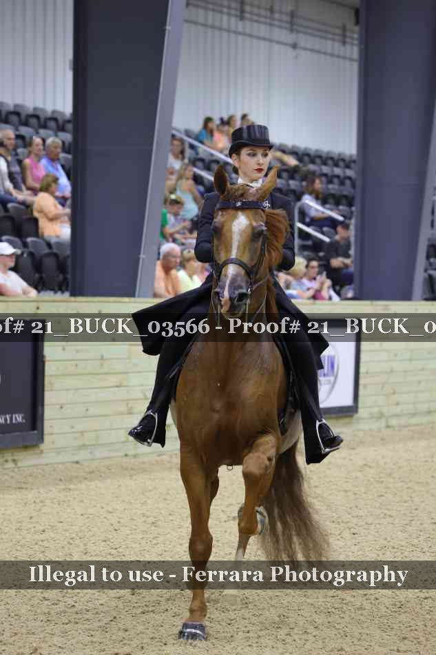 Proof 21_BUCK_03566