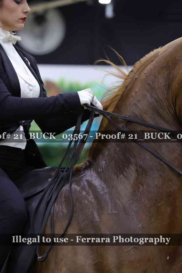 Proof 21_BUCK_03567